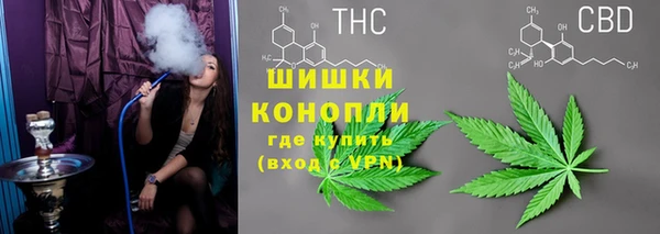 ГАЛЛЮЦИНОГЕННЫЕ ГРИБЫ Аркадак