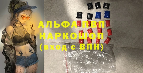 стаф Арсеньев